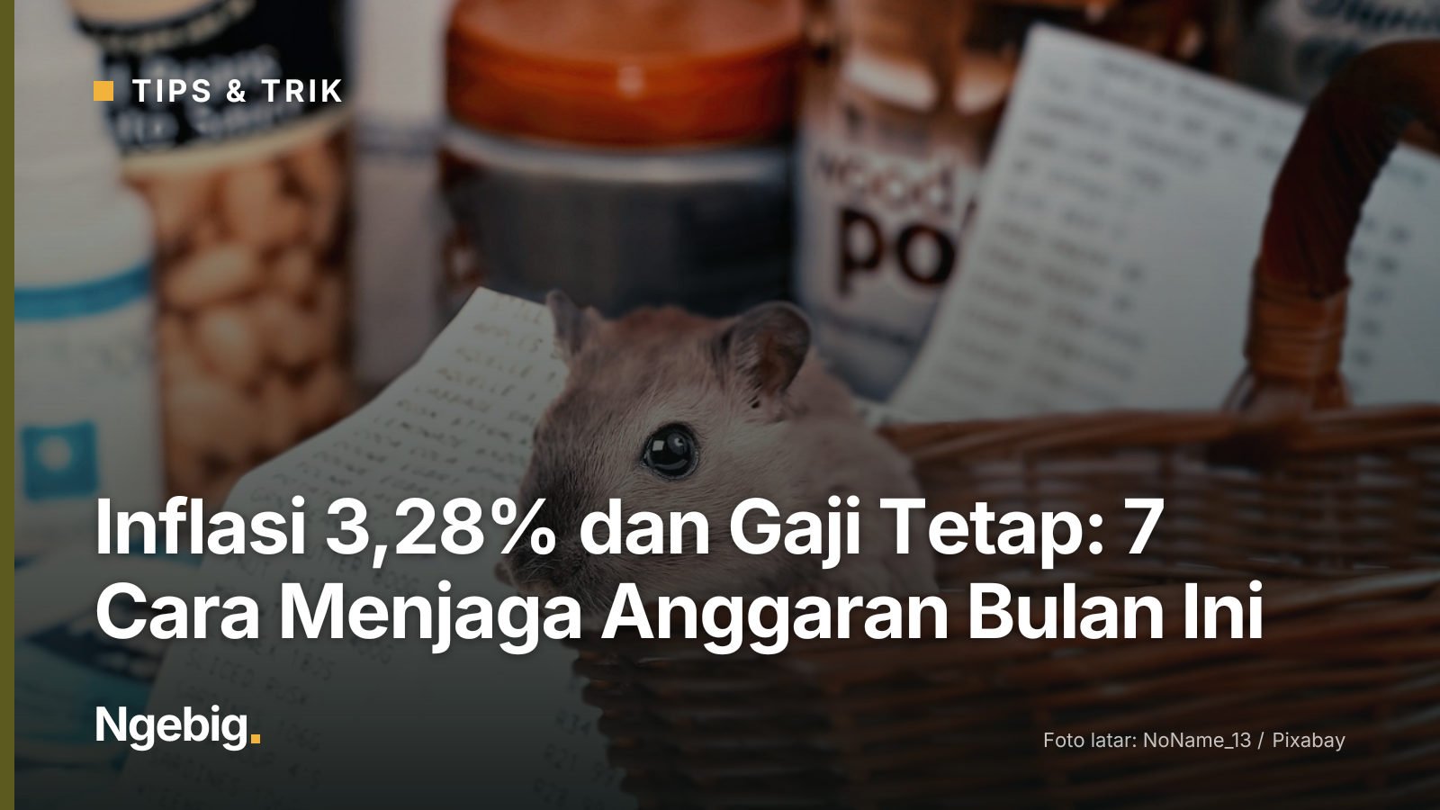 Sampul artikel Inflasi 3,28% dan Gaji Tetap: 7 Cara Menjaga Anggaran Bulan Ini dengan latar foto hamster shopping, covid-1...